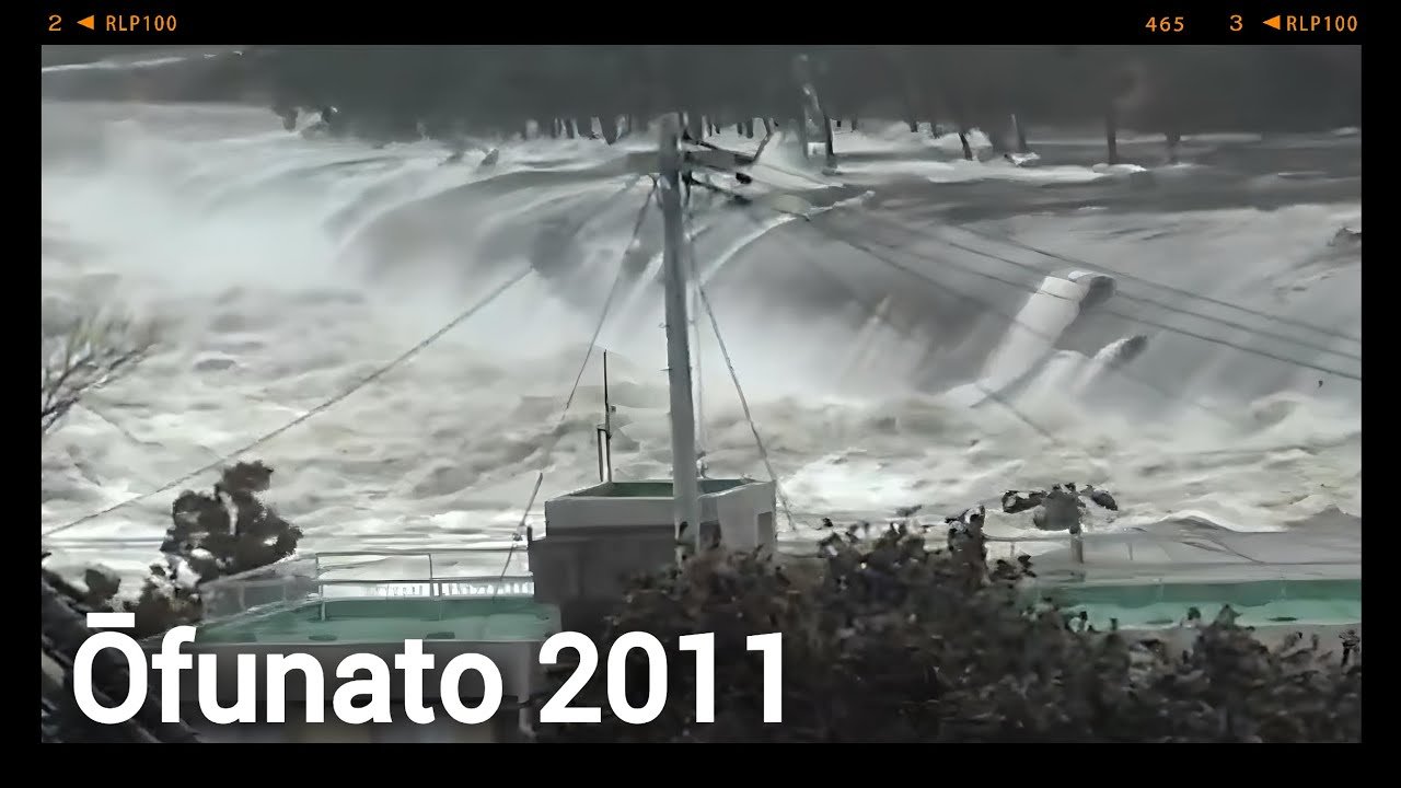 🏛️ 오후나토 시립 박물관 (오후나토 시리츠 하쿠부츠칸) 이미지 1